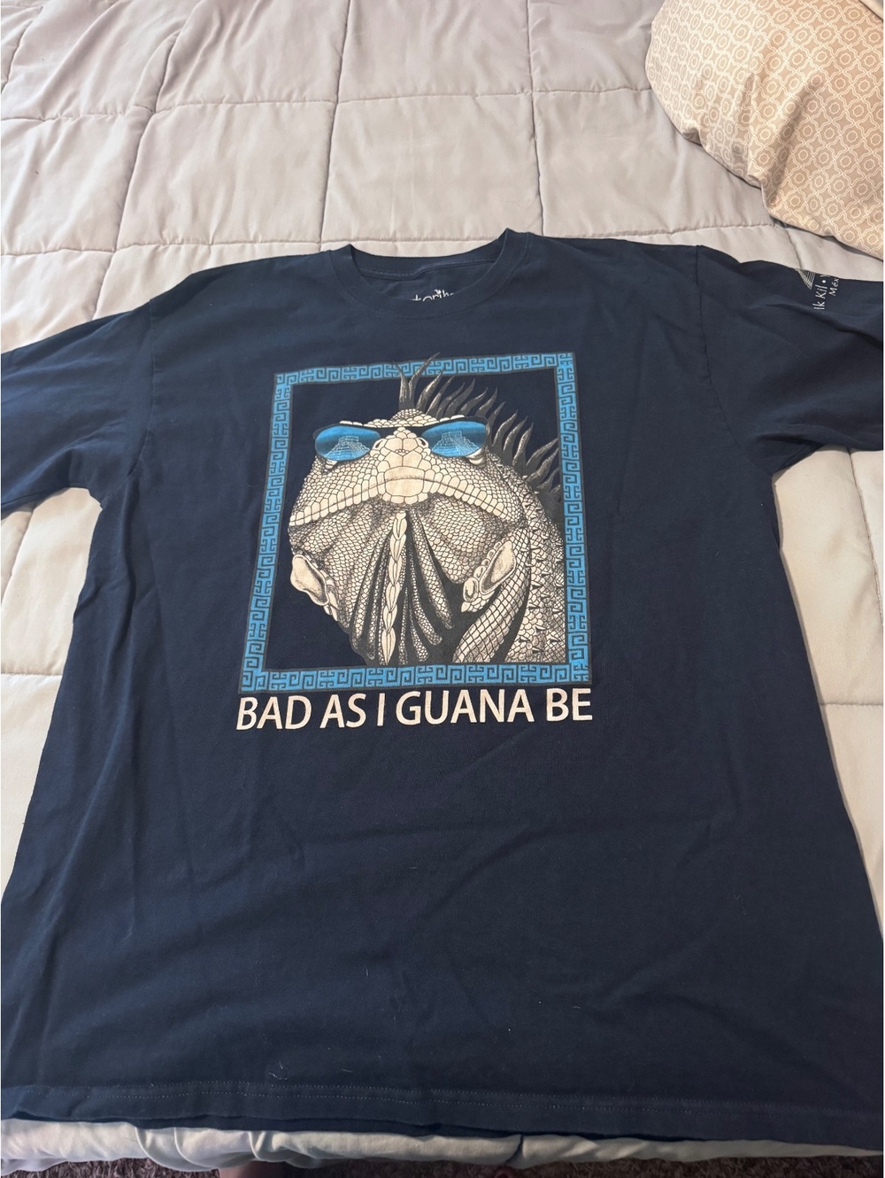 Pictorika Ik Kil Yucatan Mexico Iguana Graphic T Shirt XL Bad As I Guana Be